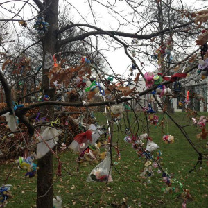 Pacifier Tree