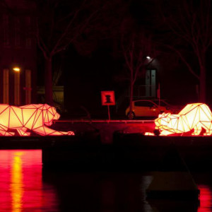 Festival de Luzes - Amesterdão