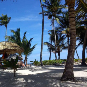 Punta Cana1 2012