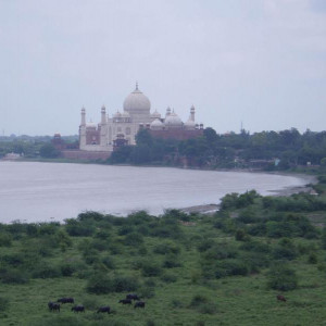 fort 5 vist Taj