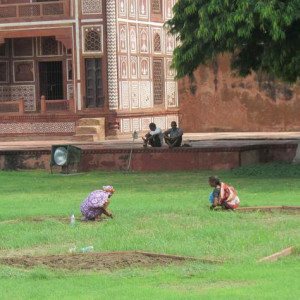 Peq Taj 7