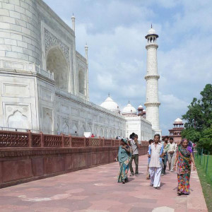 Taj 3