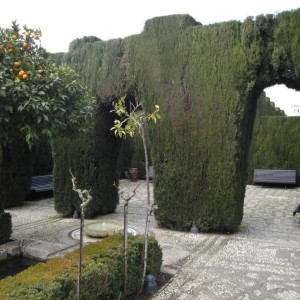 Alhambra37.JPG