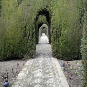 Alhambra38.JPG