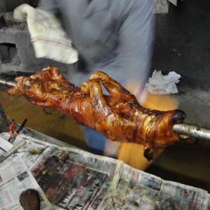 leitao.JPG