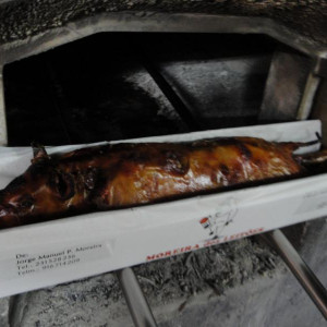 leitao1.JPG