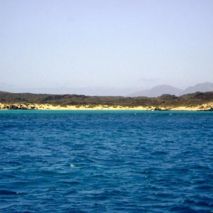 DSC02047.JPG