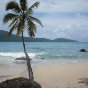 Samaná 325.jpg