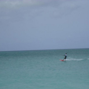 DSCF0172.jpg