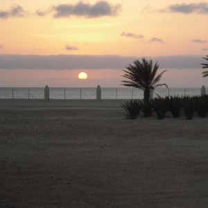 DSCF0280.jpg
