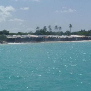 100_2847.JPG