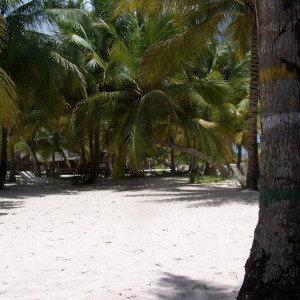 100_2874.JPG