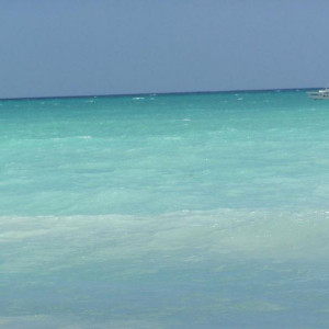 100_2897.JPG