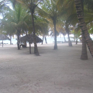 100_2907.JPG