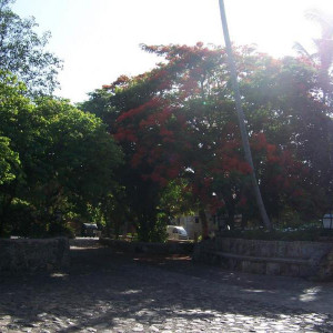 100_2779.JPG