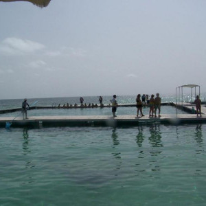 100_3204.JPG