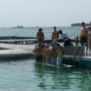 100_3206.JPG
