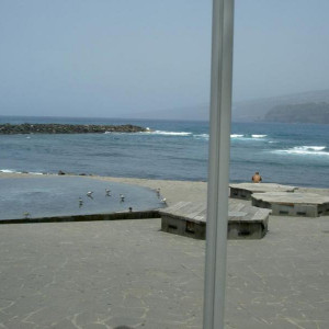 PICT3992.JPG