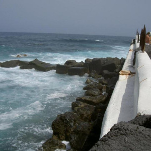 PICT4020.JPG