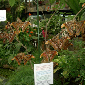 PICT4189.JPG