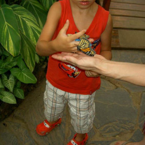 PICT4196.JPG