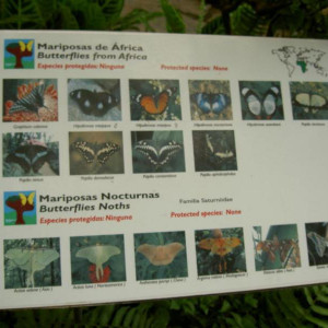 PICT4200.JPG