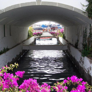 100_4883.JPG