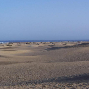 100_4934.JPG