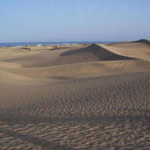 100_4950.JPG