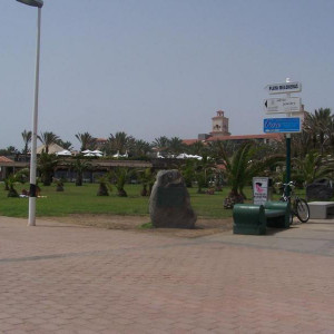 100_4981.JPG
