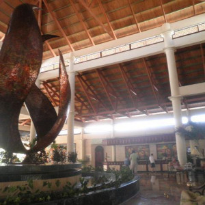 P8220234.JPG