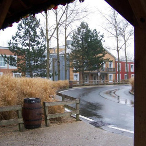 100_3869.JPG