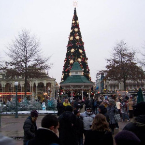 100_3895.JPG