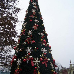 100_4016.JPG