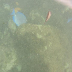 IMG_1384.JPG