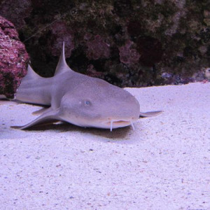 IMG_1505.JPG