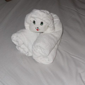 IMG_1660.JPG