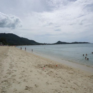 DSC02714
