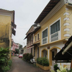 IMG 0737