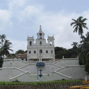IMG 0743