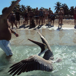 Ou largas a sardinha ou baixo-te os calções...