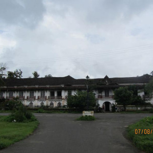 IMG 0849
