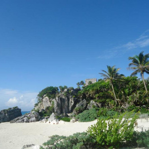 DSC02009