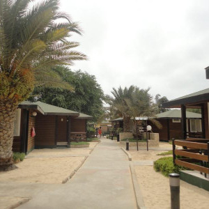 Oasis Belorizonte
