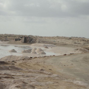 Salinas