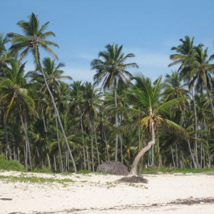 Praia Bávaro