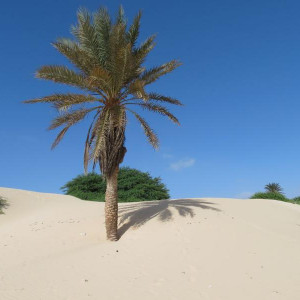 IMG 0804