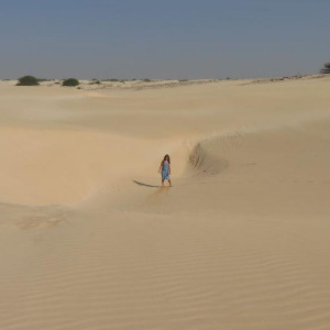 IMG 0988