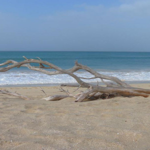 praia Carlota