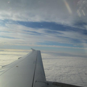 IMG 7370